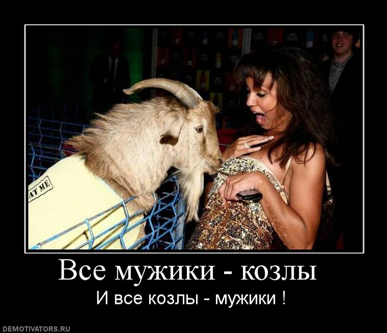 Самые прикольные статусы про мужчин козлов | prikolnye-smeshnye.ru