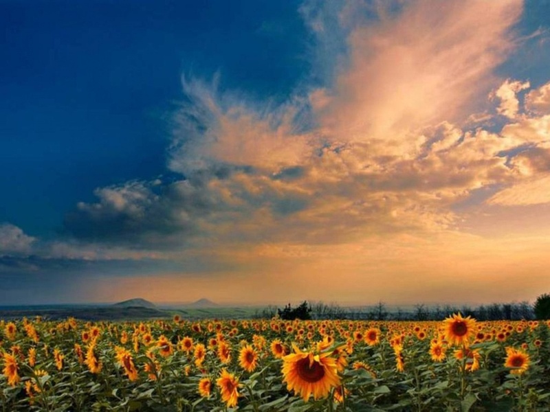 Прикольные статусы про август | prikolnye-smeshnye.ru