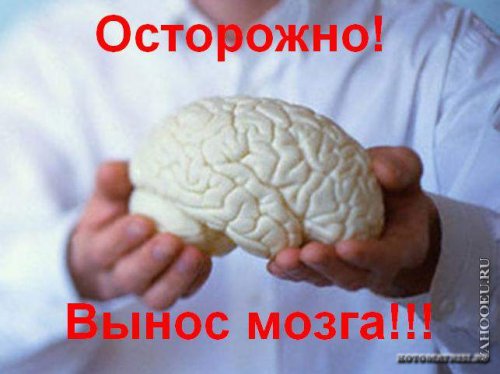 Прикольные статусы про мозги | prikolnye-smeshnye.ru